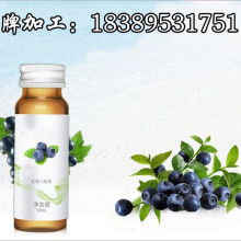 越秀真樸苑 以植物押花詮釋自然之美